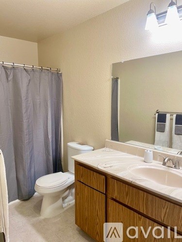 A bathroom with a toilet, sink, and shower curtain.