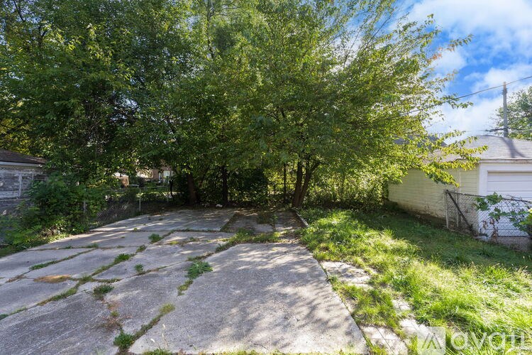 A tree in a backyard with a concrete walkway.