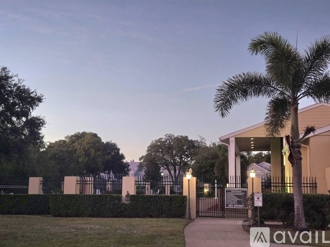 A palm tree stands in front of a building with a sign that reads "AVAIL".