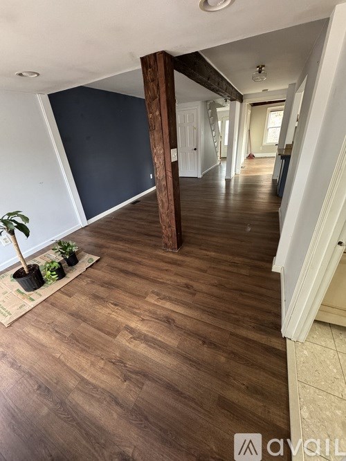 A long hallway with a plant on the left and a white door on the right.