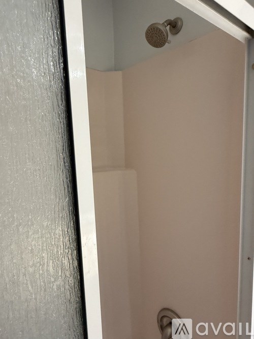 A shower head mounted on a bathroom wall.