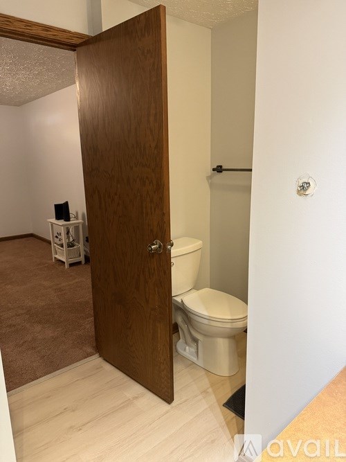 A bathroom with a toilet and a wooden door.