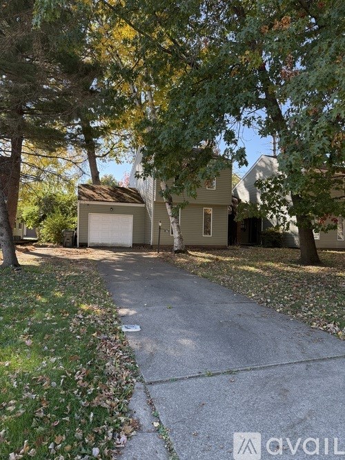 A tree-lined street with a house and a driveway.