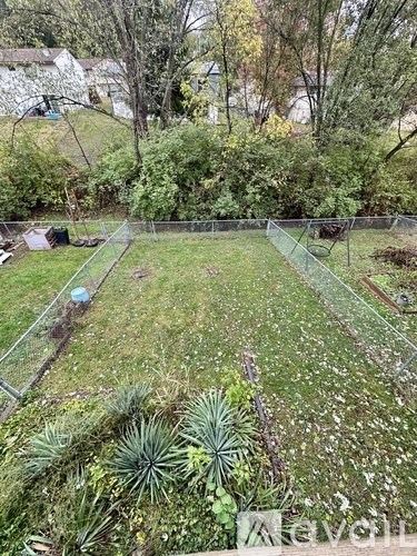 A garden with a fence and plants.