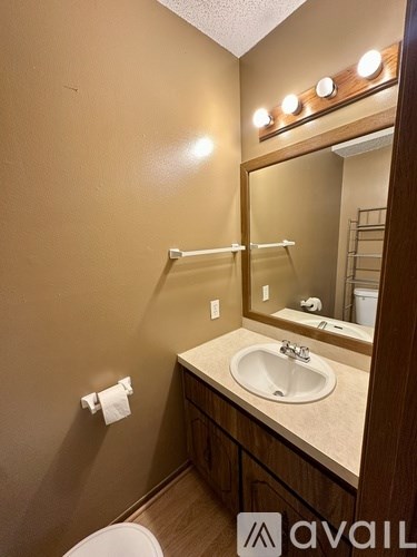 A bathroom with a sink, mirror, and toilet paper holder.