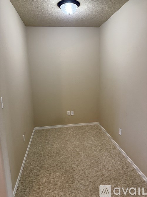 A carpeted hallway with a light on the ceiling.