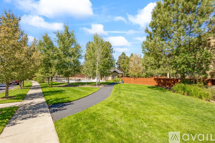 A pathway in a park with trees on both sides.