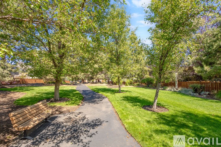 A park with a walking path, bench, and trees.