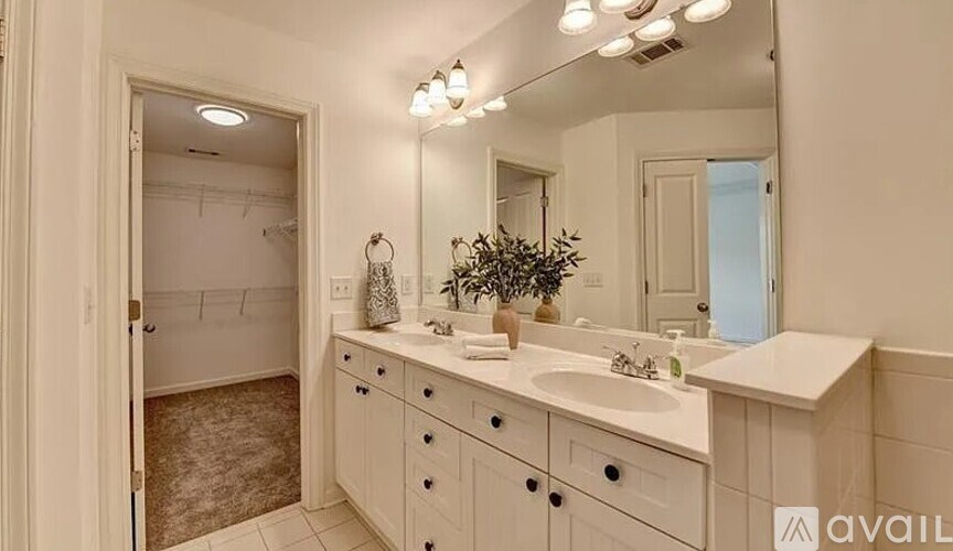A bathroom with a vanity, sink, mirror, and a plant.