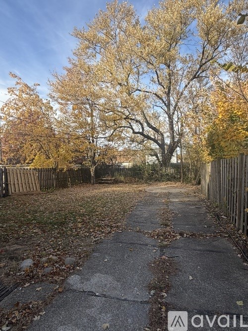 A pathway with fallen leaves and trees with yellow leaves.