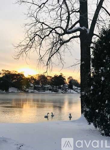 A lake with a tree and two birds in the water.