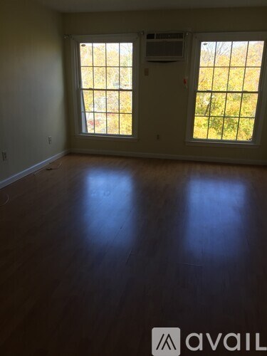 A room with a dark wooden floor and two windows.