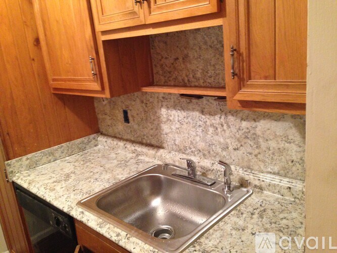 A kitchen with a sink and wooden cabinets.