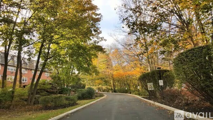 A tree-lined street with a sign that says "AVAILABLE" on the right side.