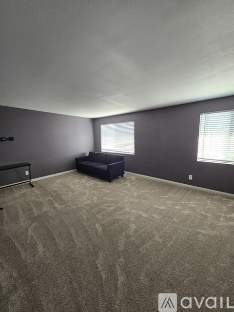 A room with a grey carpet and a black sofa.