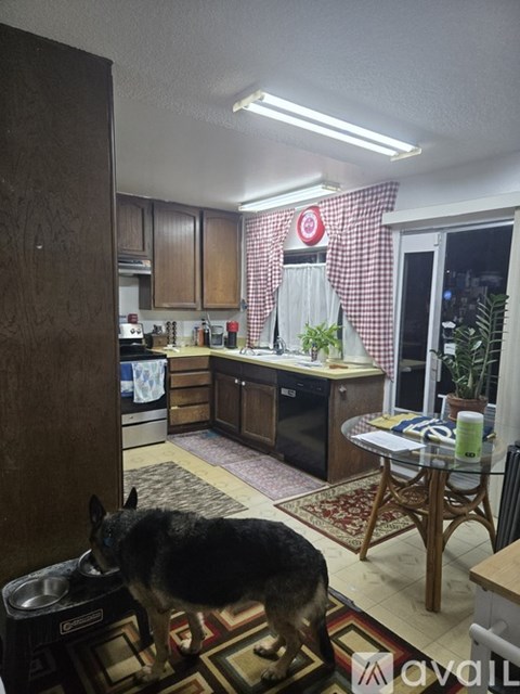A dog is eating out of a bowl in a kitchen.
