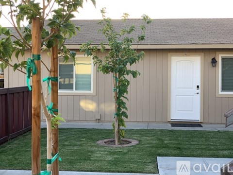 A tree with green ribbons tied to a wooden pole in front of a house.