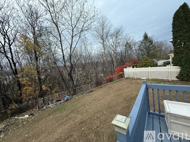 A backyard with a blue fence and a white house in the background.