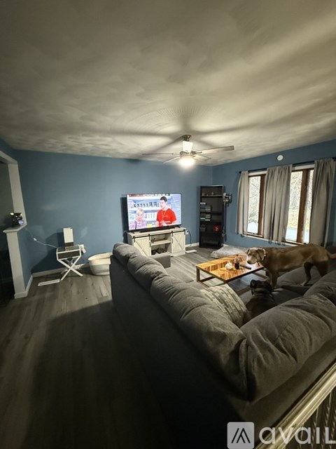 A living room with a grey couch and a dog.