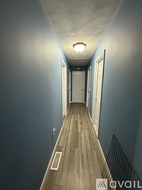 A long hallway with a light on the ceiling and doors on the right.