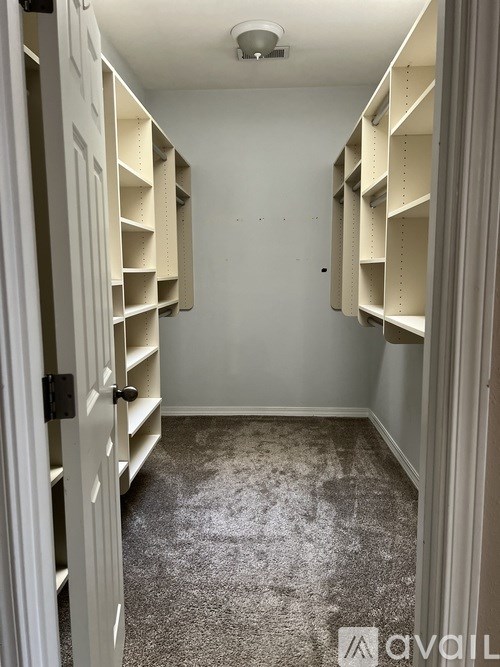 A white closet with shelves and a carpeted floor.