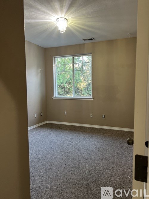 A room with a window and a carpeted floor.