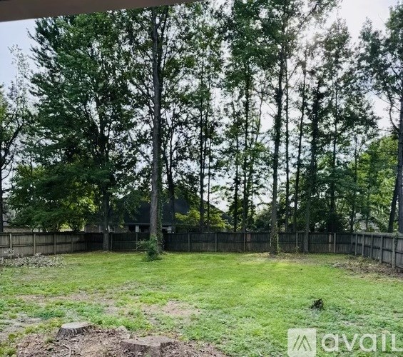 A backyard with a fence and trees.