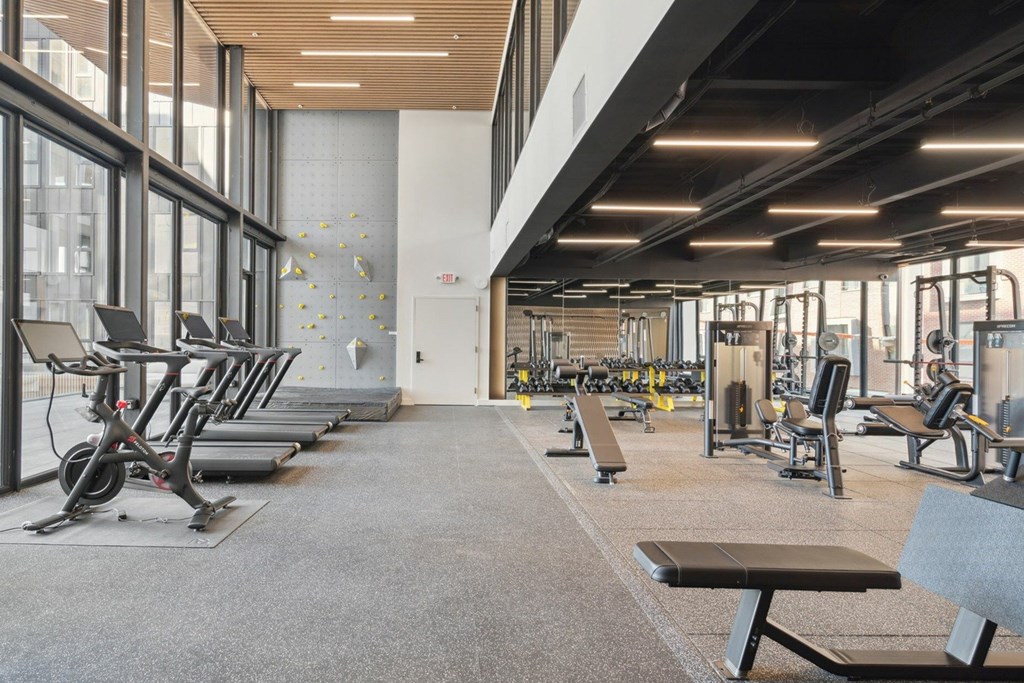 A gym with treadmills, elliptical machines, and other exercise equipment.