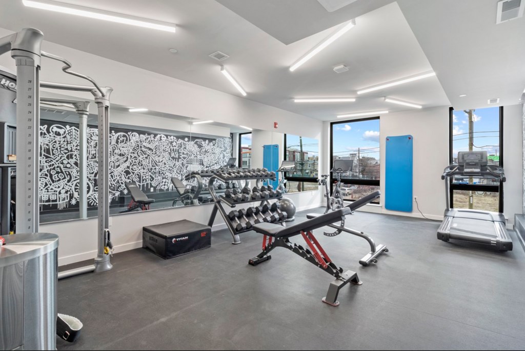A gym with a variety of equipment including a squat rack, dumbbells, and a treadmill.