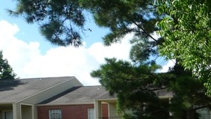 Apartments For Rent In Beaumont Tx Area Apartments For Rent In Beaumont Tx Area