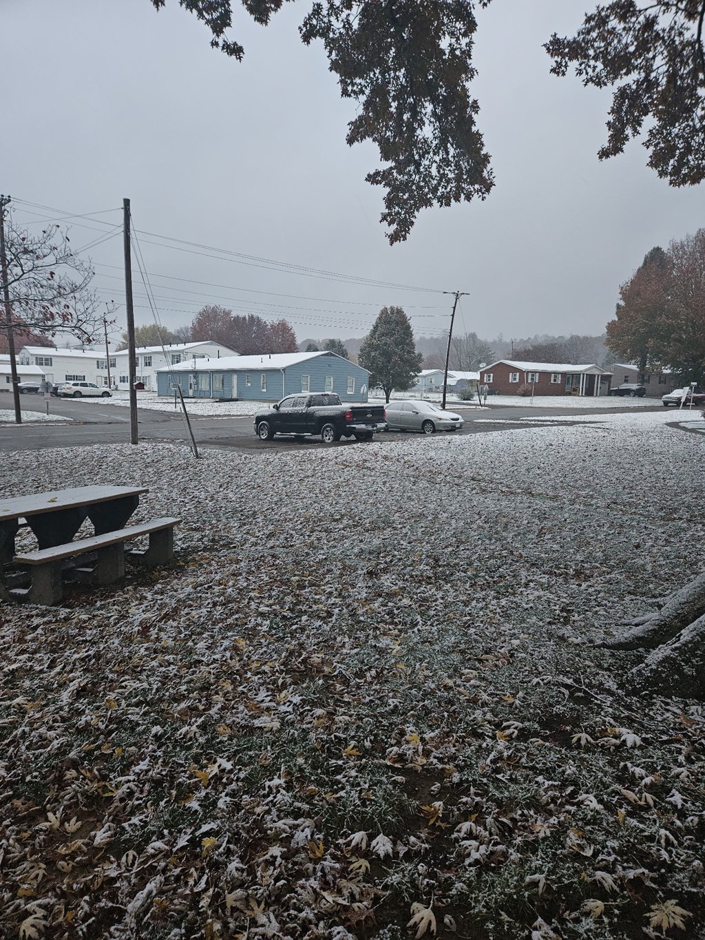 A snowy day in a park with a picnic table and cars parked in the background.