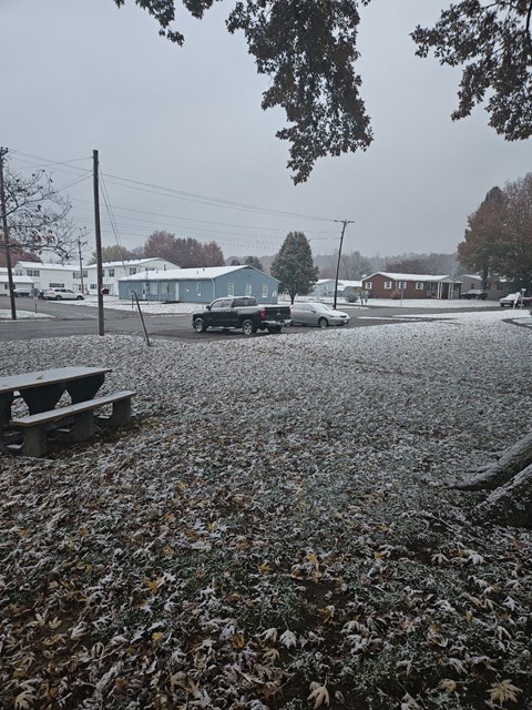 A snowy day in a park with a picnic table and cars parked in the background.