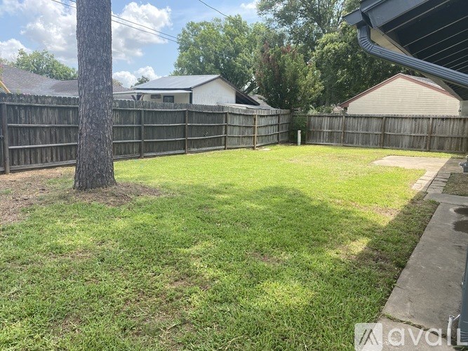 A backyard with a wooden fence and a tree.