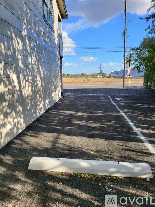 A white wall with a shadow of a tree on it.