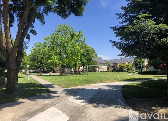 A sunny day in a residential area with a clear blue sky.