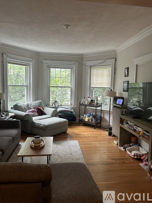 A living room with a couch, a coffee table, and a television.