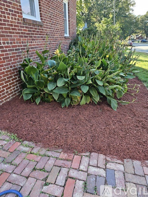 A garden with a brick pathway and a large green bush.