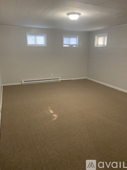 A room with carpeted floor, two windows, and a ceiling light fixture.