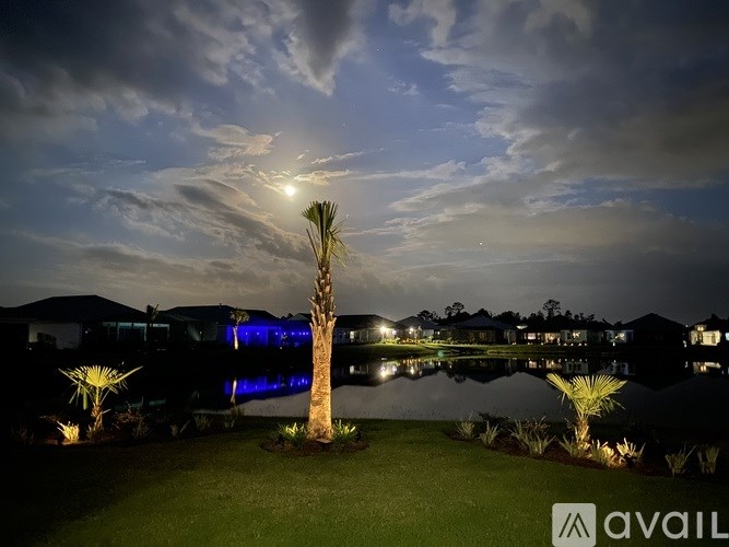 A palm tree stands in front of a row of houses by a lake at night.