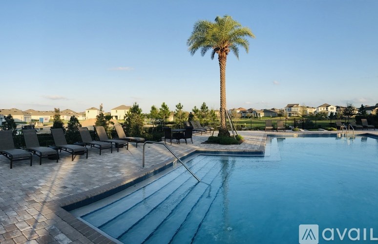 A pool with a palm tree in the middle of it.