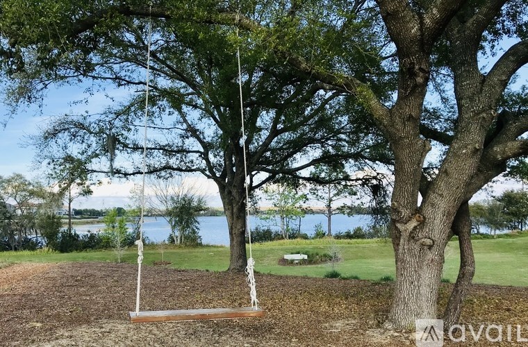 A swing hangs from a tree in a park.