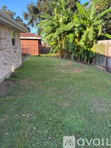 A backyard with a fence and a large green plant.