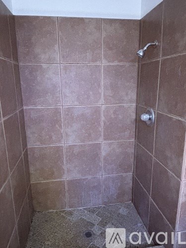 A tiled shower with a drain in the floor.