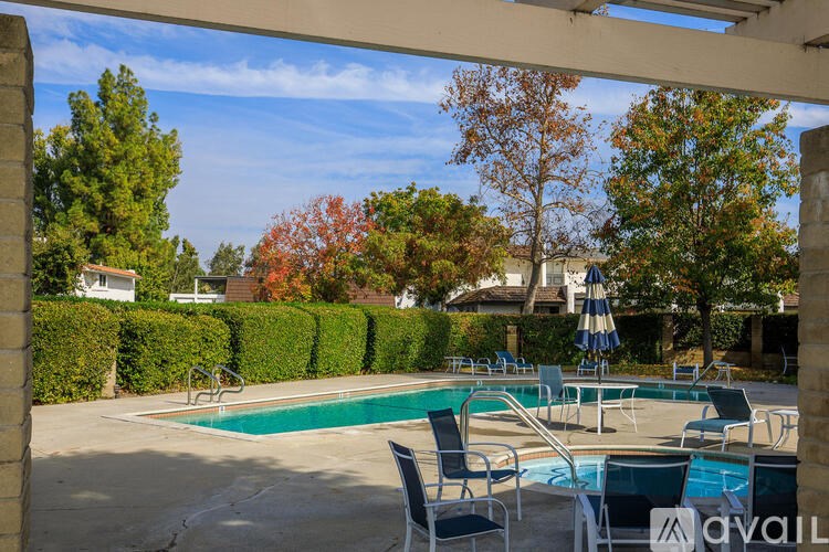 A pool surrounded by trees and a hedge.