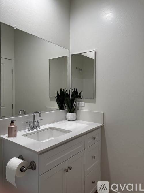 A bathroom with a sink, mirror, and a plant.