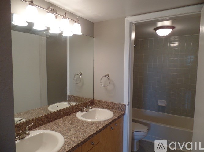 A bathroom with a sink, mirror, and toilet.