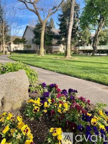 A garden with a stone and flowers in the foreground and a house in the background.