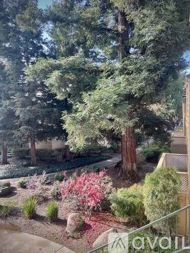 A garden with a large tree and flowering shrubs.