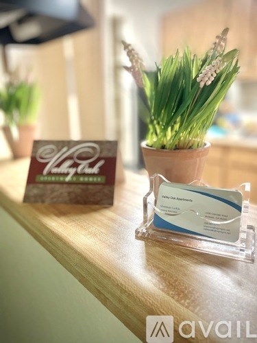 A card with the word "Lady" on it is on a table next to a plant.