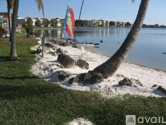 A beach scene with a palm tree and a sailboat in the water.